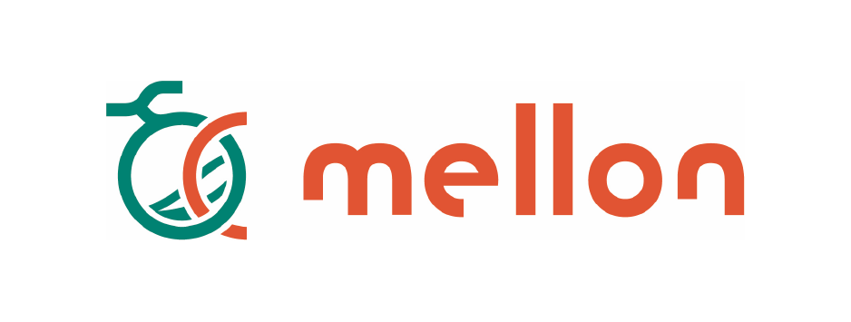 assets/support-company/day3-3-melon.png
